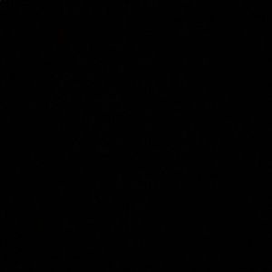 Meet your Posher, Sofia